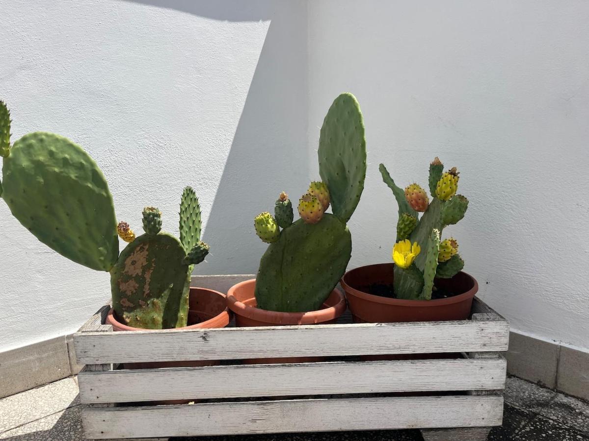 Apartamento Monteverde Double Terrace Penthouse Roma