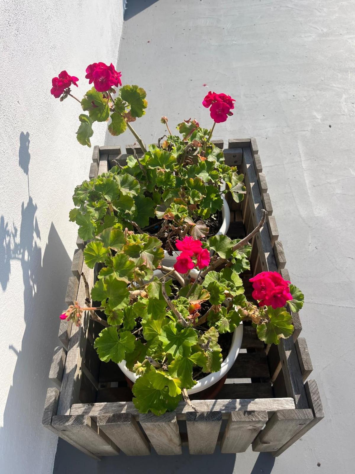 Apartamento Monteverde Double Terrace Penthouse